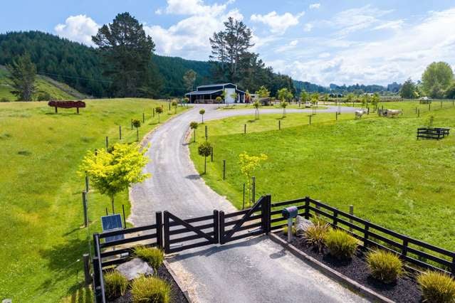 Equestrian Gem 5kms From Taupo CBD!