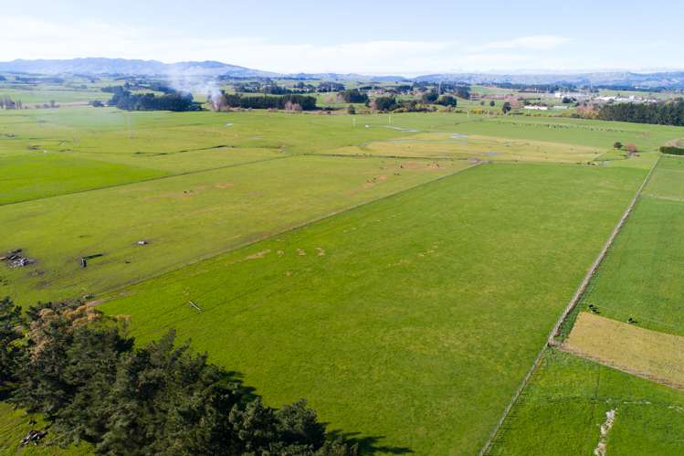 50 Nannestads Line Bunnythorpe_5