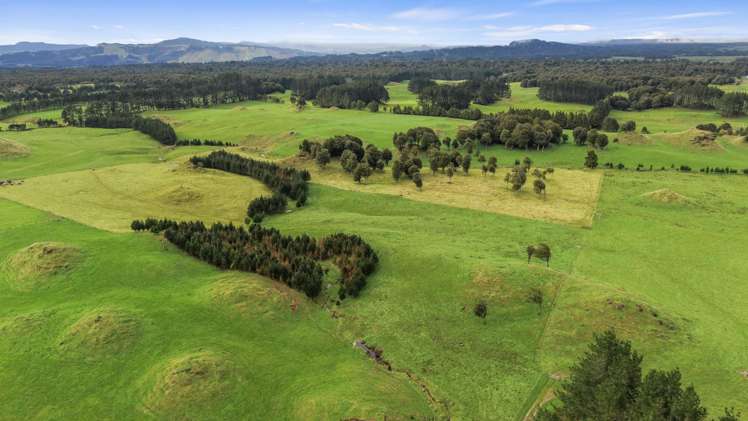 1161 State Highway 5 Hamurana_6