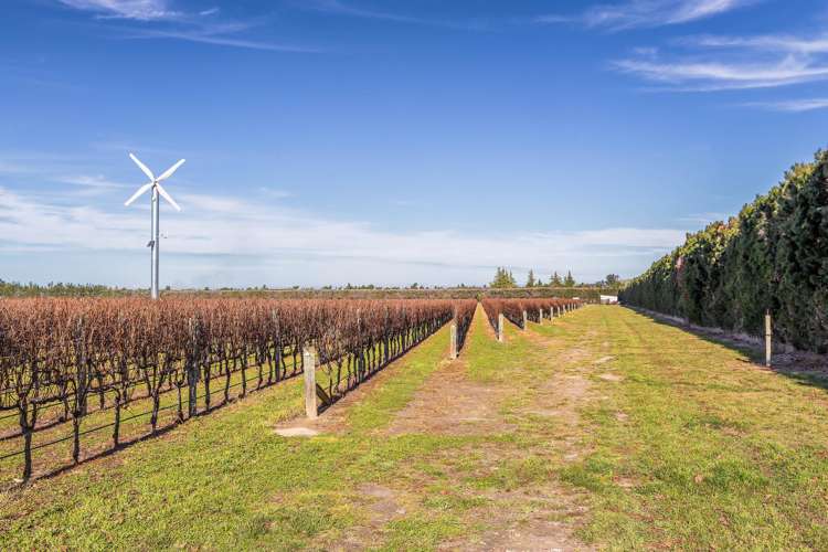 292 Mount Brown Road Amberley_6