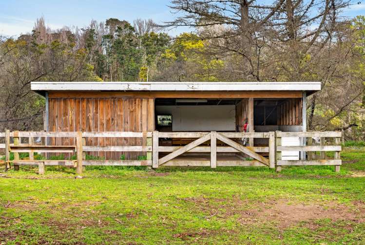 992 Dartmoor Road Puketapu_24
