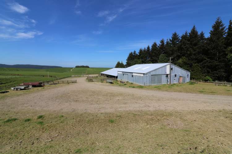 339 Rankleburn Road Pomahaka_17