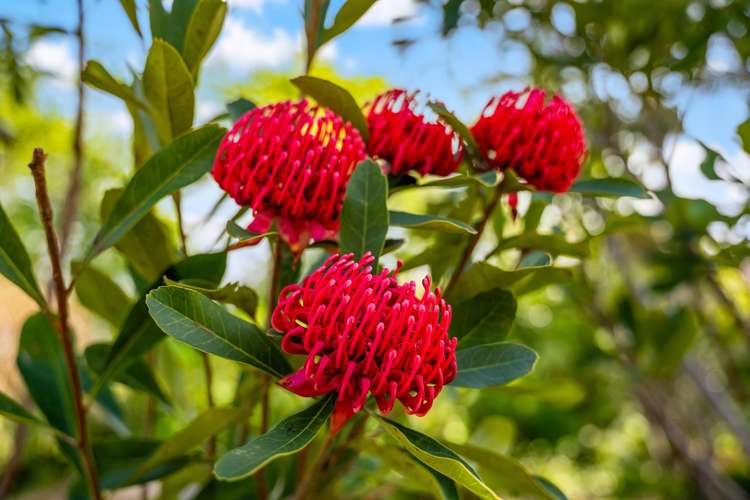 145 Jones Road Omaha_33