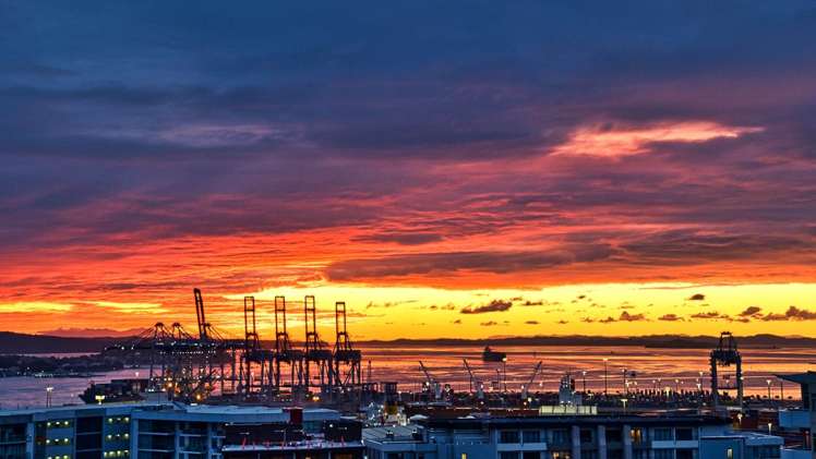 12a/97 Shortland Street Auckland Central_5