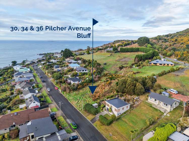 30, 34, 36 Pilcher Avenue_4
