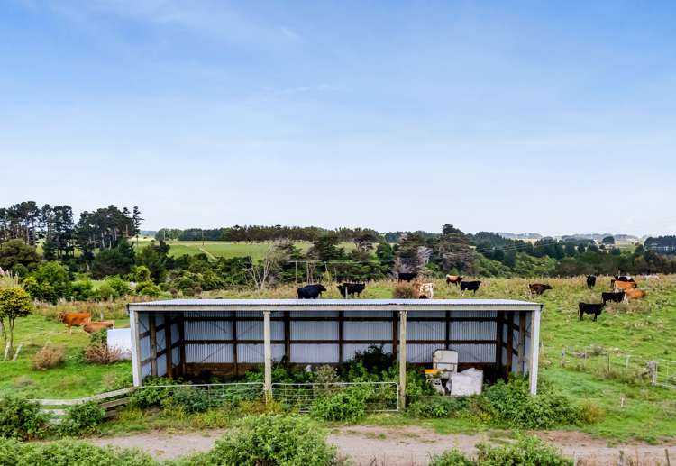 Whakamara Road Hawera_18