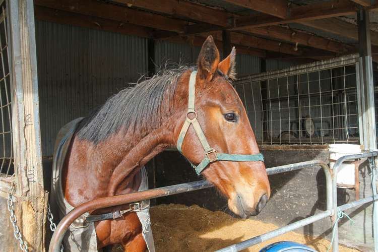 27a Royal Doulton Drive Pukekohe_25