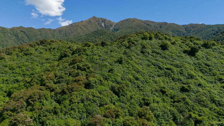 39 Lookout Road, Peel Forest Geraldine_16