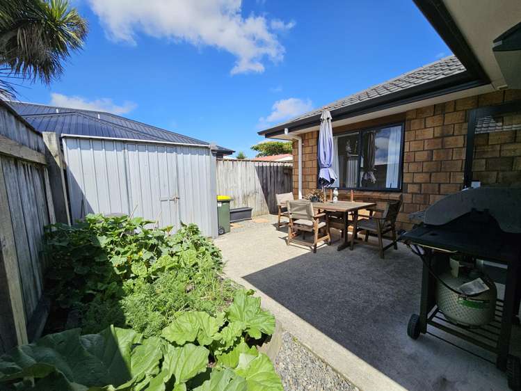 8a Sussex Street Levin_13
