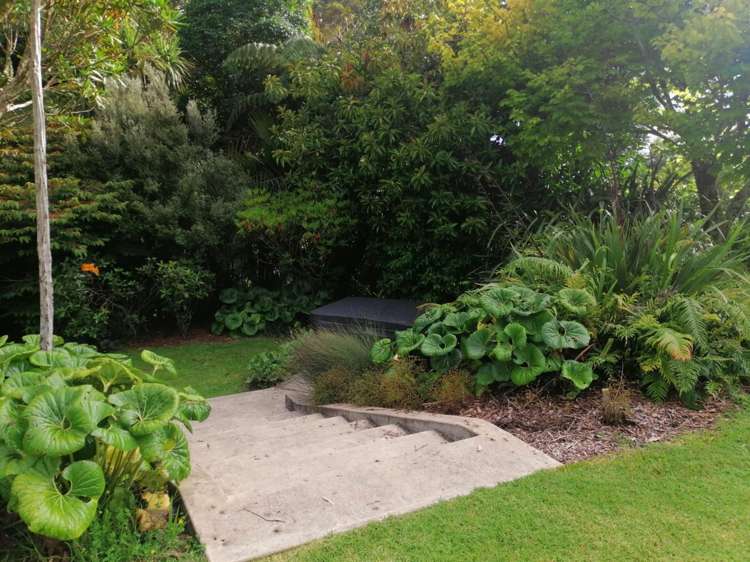 259 Surrey Hill Road Oakura_10