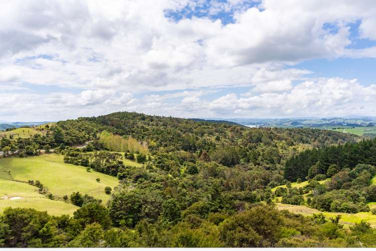 827 Tinopai Road Tinopai_17