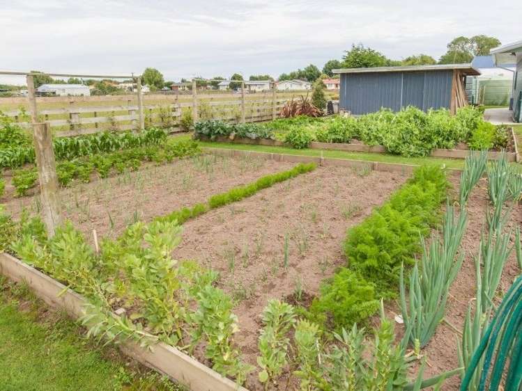 16 Spring Street Foxton_24