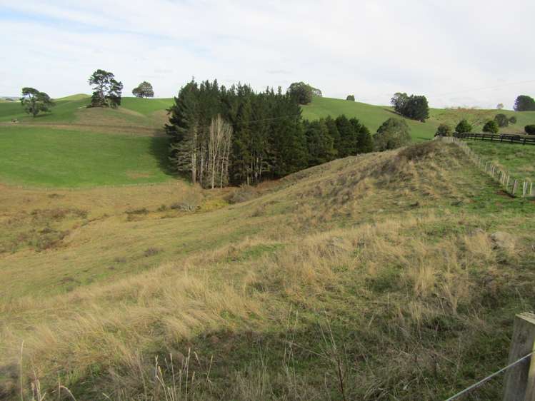 Te Tahi Road Pirongia_16