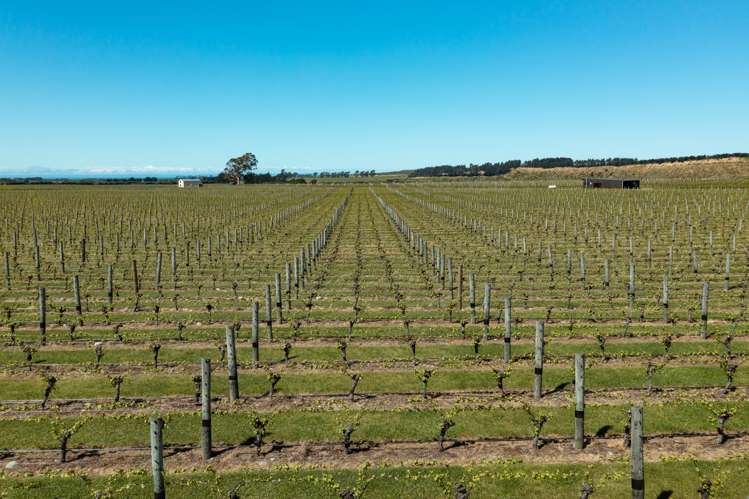 1803 Redwood Pass Road Seddon_7