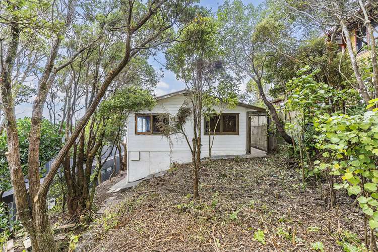 79 Weld Street Wadestown_7