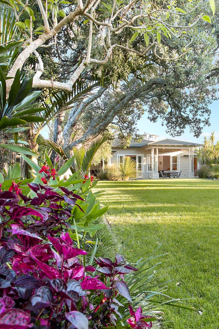 20 Ascot Avenue Narrow Neck_2