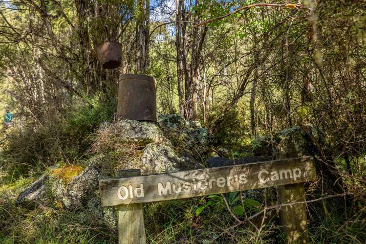 1180 Tyntesfield Road Waihopai Valley_11