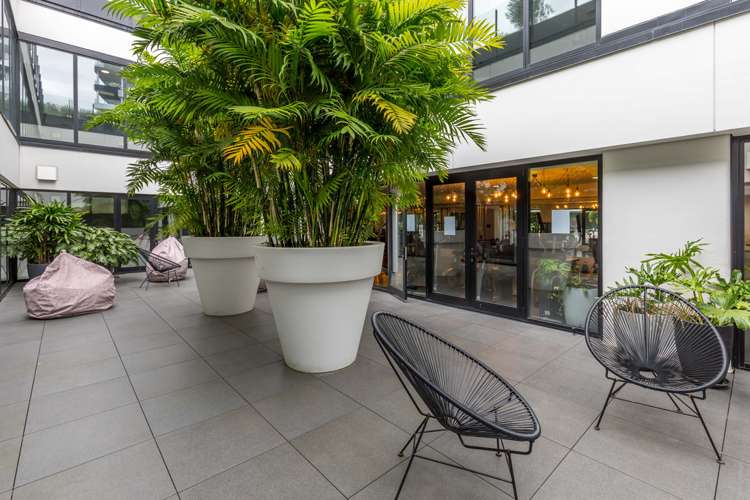 1406/8 Hereford Street Freemans Bay_5