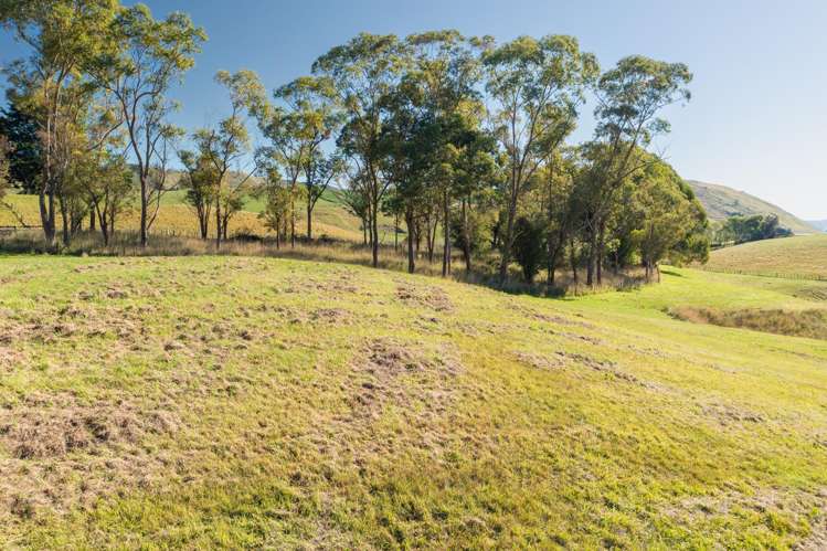 2365 State Highway 2 Poukawa_5