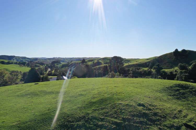 1141 Waingaro Road Glen Massey_8