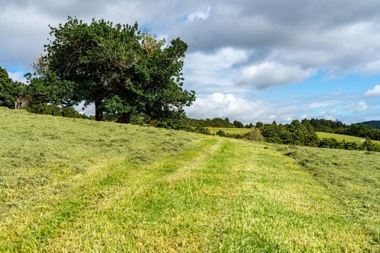 75 Kohinui Road Parua Bay_22