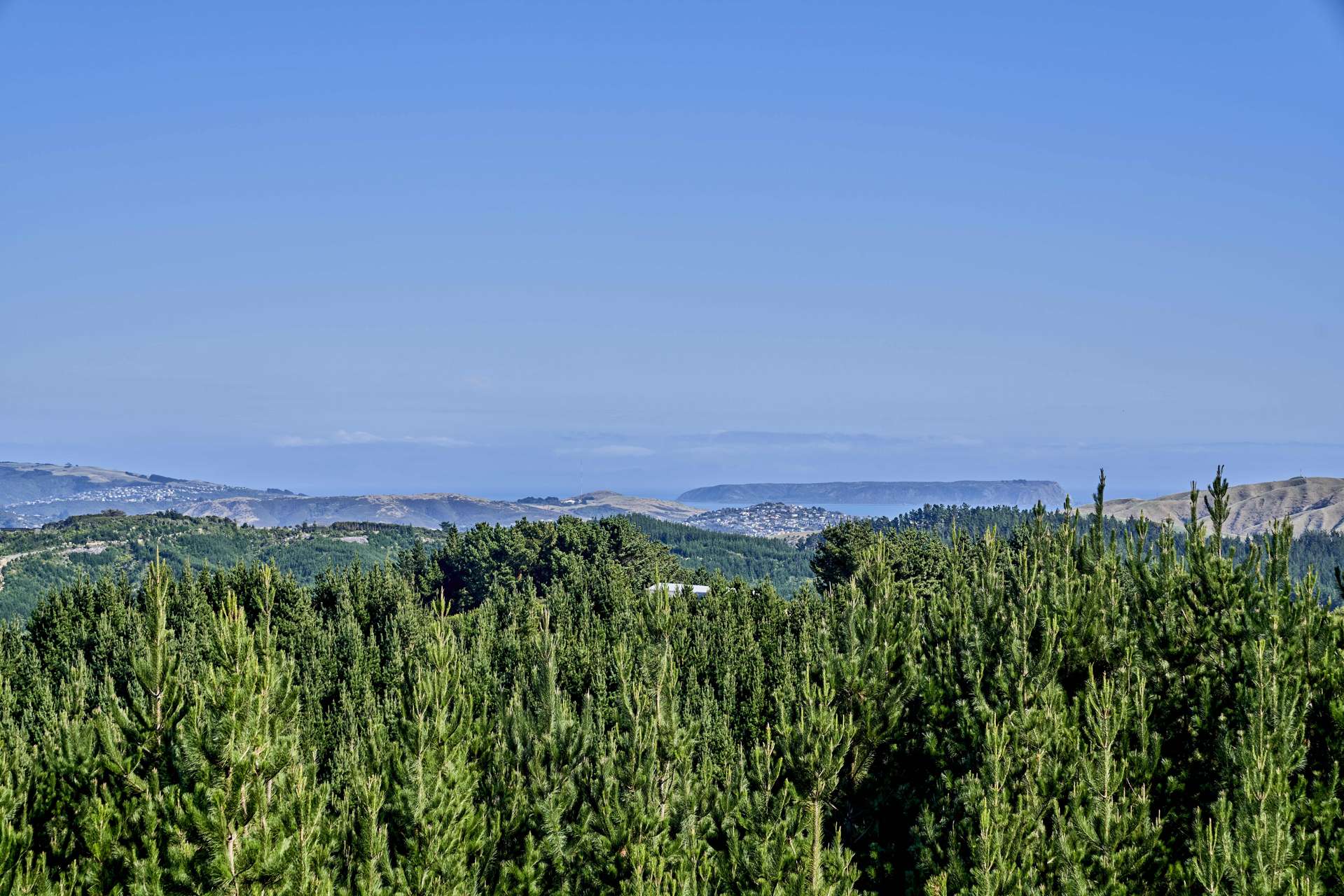 Fernhill Drive Judgeford_0