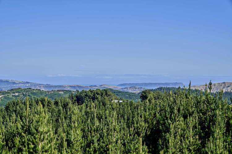 Fernhill Drive Judgeford_0