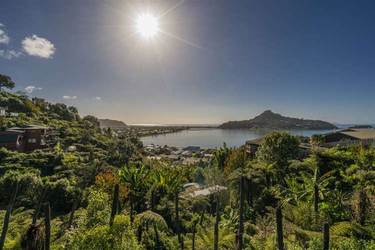 4 Pine Grove Tairua_20