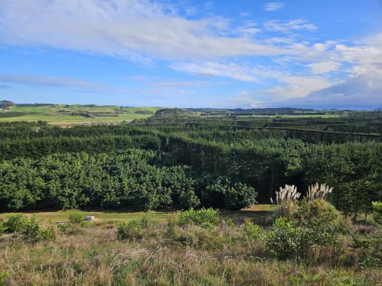 Heath Road Waiharara_11