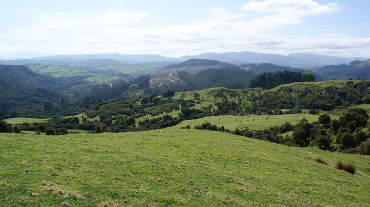 1050 Ellis Wallace Road Eskdale_18