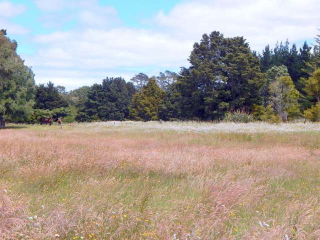 115 Waiare Road Okaihau_1