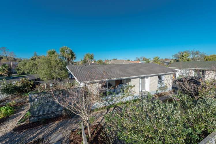 26a Pearsons Avenue Claudelands_8