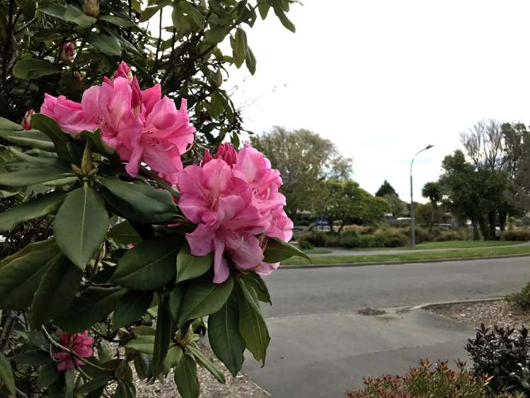 5/74 Picton Avenue Riccarton_23