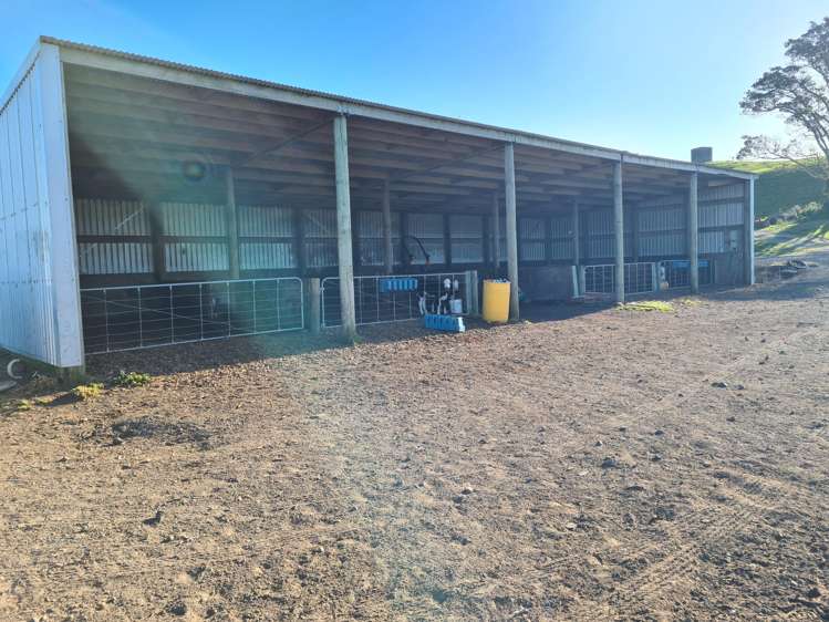 801 Mangorei Road Mangorei_7