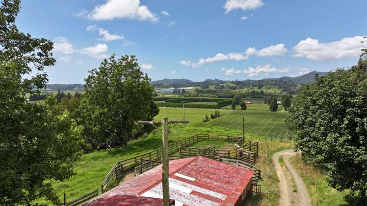 636 Otara Road Opotiki_23