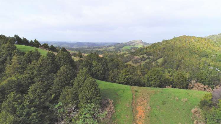 272 Kaiikanui Road Hukerenui and Surrounds_11