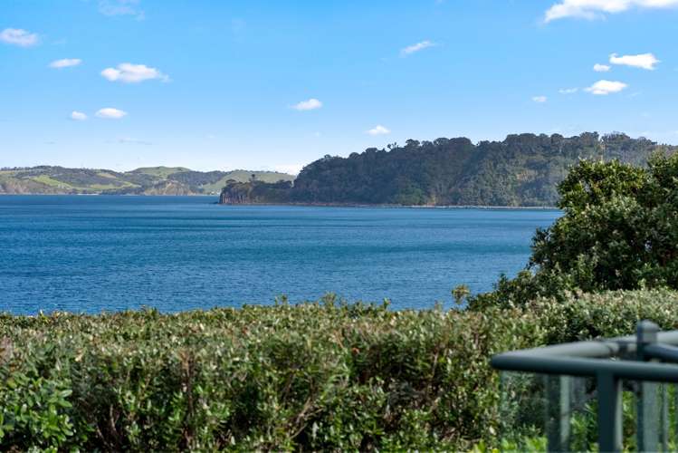 14 Penguin Street Leigh_4