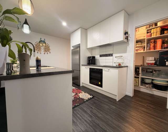 1 Clement Ave Rolleston_4