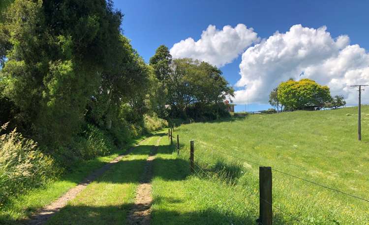 1564 State Highway 31 Kawhia Road Otorohanga_24