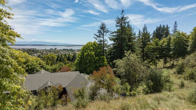 48d Selbourne Avenue Richmond_14