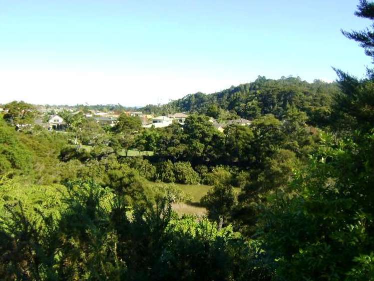 56/17 Georgia Terrace Albany_20