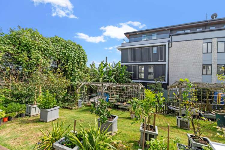 23 Tennyson Avenue Takapuna_16