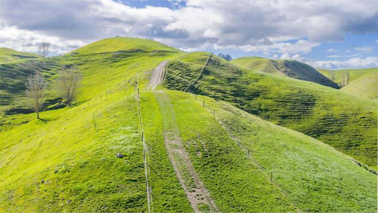 418 Tikokino Road Waipawa_9