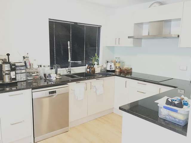 121b Seabrook Avenue New Lynn_3