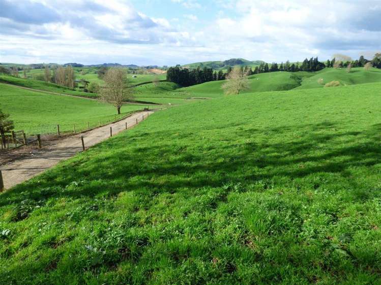 203/219 Paewhenua Road Maihiihi_5