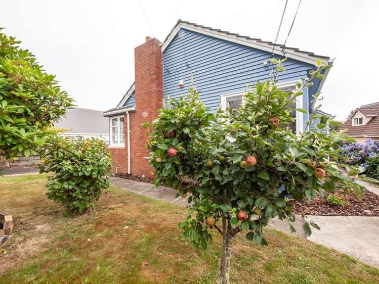 10 Kipling Street Johnsonville_1