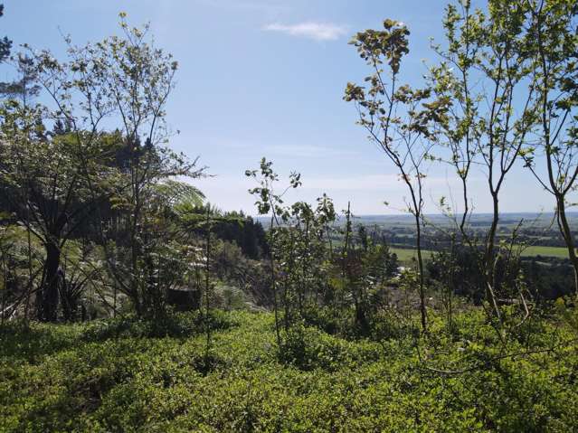 SHANNON FOREST AND RECREATION