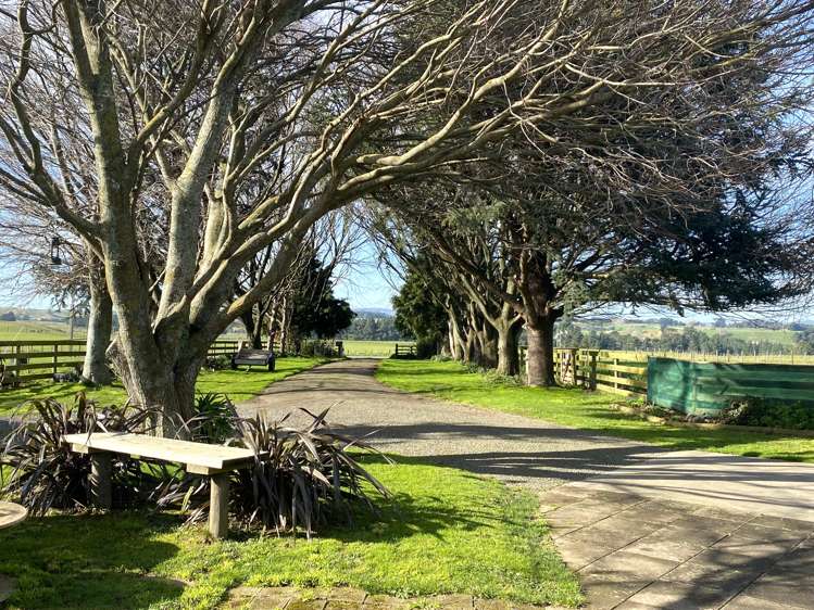 29 Umutaoroa Road Dannevirke_1