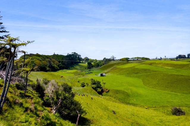 310 Henwood Road Bell Block_3