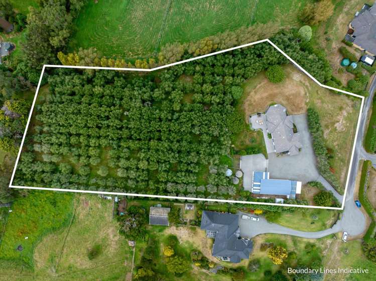 56 Kensington Drive Peka Peka_30